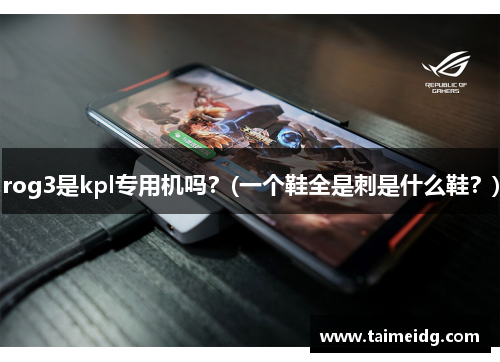 rog3是kpl专用机吗？(一个鞋全是刺是什么鞋？)